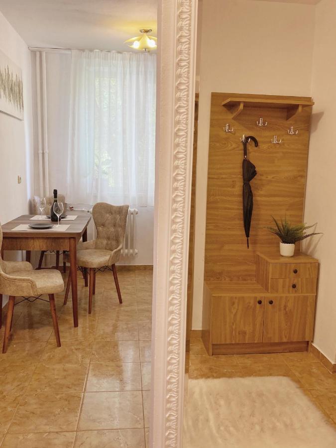 Appartamento Timisoara Central Apartament Esterno foto